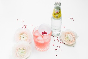 Pink Rose Cocktail http://vollgut-gutvoll.de/2016/01/29/pink-rose-cocktail/ ‎ #pink #rose #cocktail